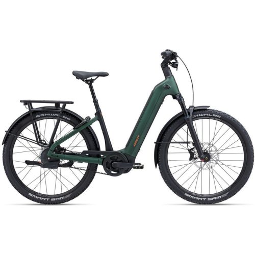 Giant AnyTour X E+ Kelp Forest LAGEINSTAP