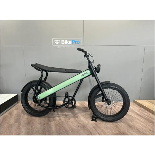 Brekr F250 Saga Light Green