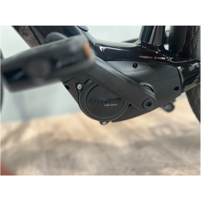 Giant AnyTour E+ Cold Iron Lageinstap - Afbeelding 11