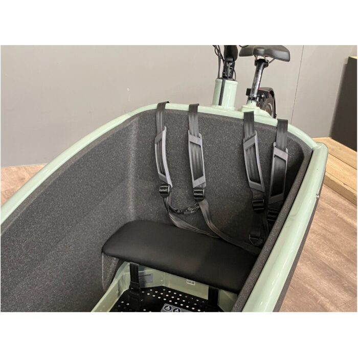 Urban Arrow FamilyNext Advanced Manual Green - Afbeelding 8