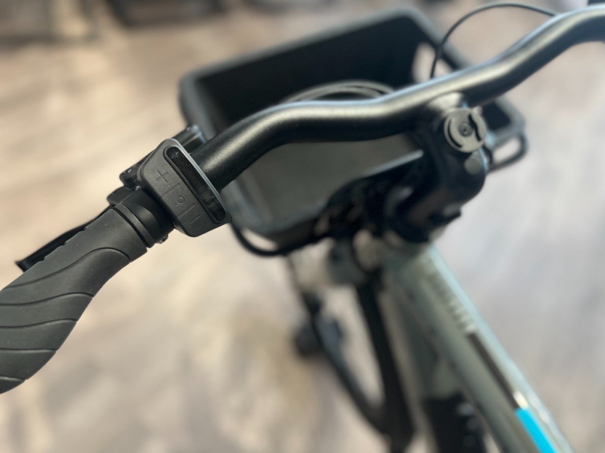 Raleigh ONE SAGE GREY Heren - Afbeelding 9