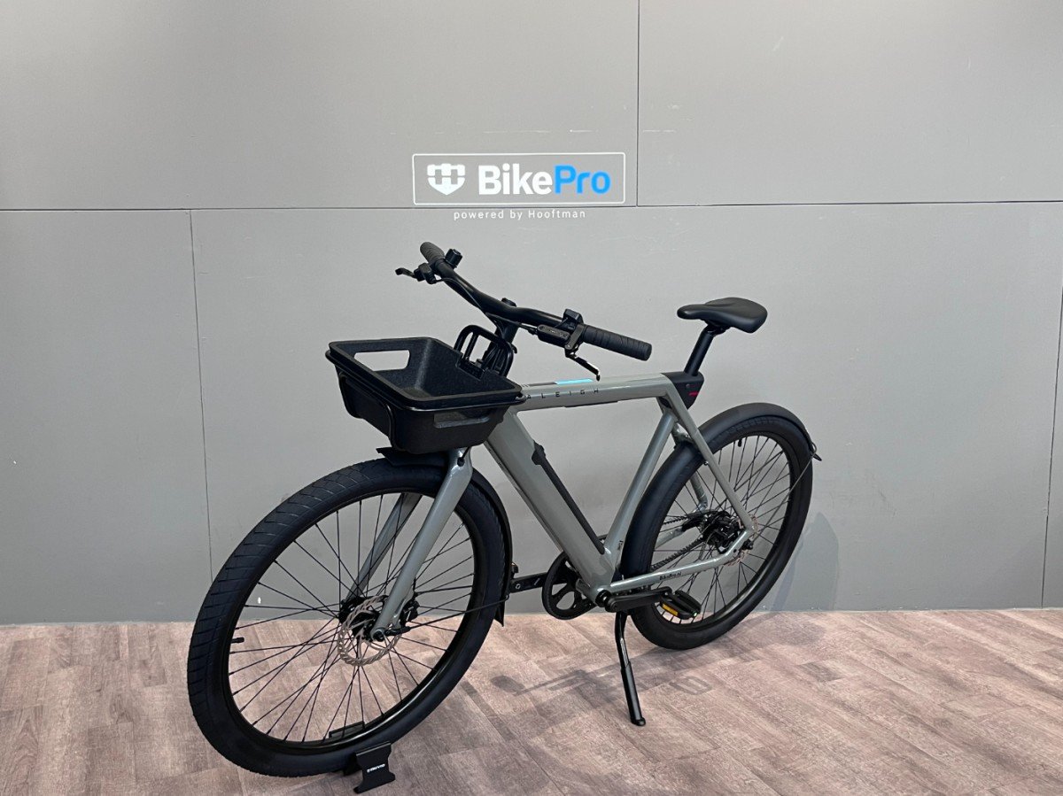 Raleigh ONE SAGE GREY Heren - Afbeelding 6