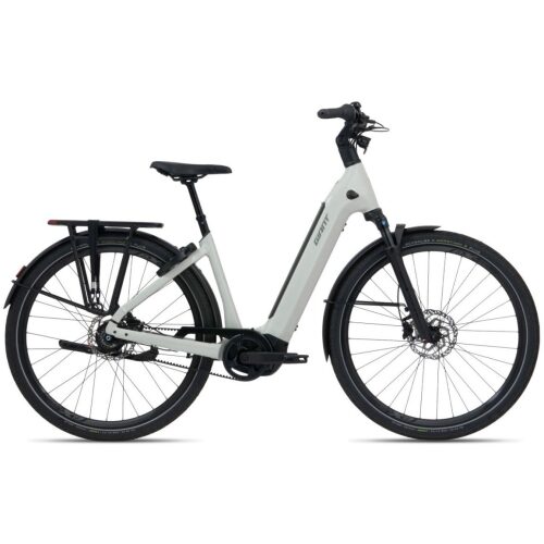 Giant AnyTour E+3 ( Ex accu van 625Wh &euro;999.00 ) Mountain Air