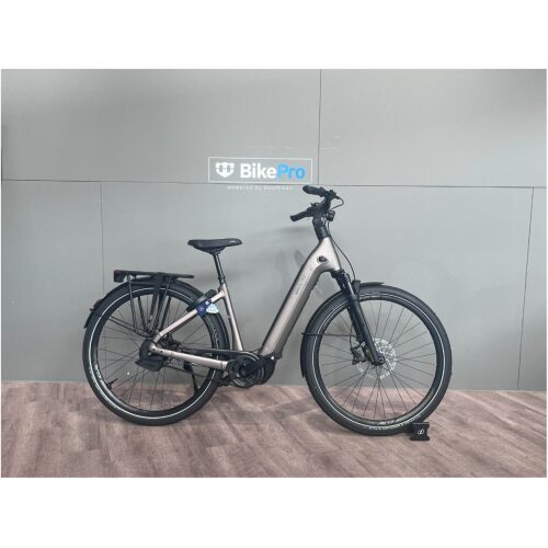 Giant AnyTour E+ Metal Heren