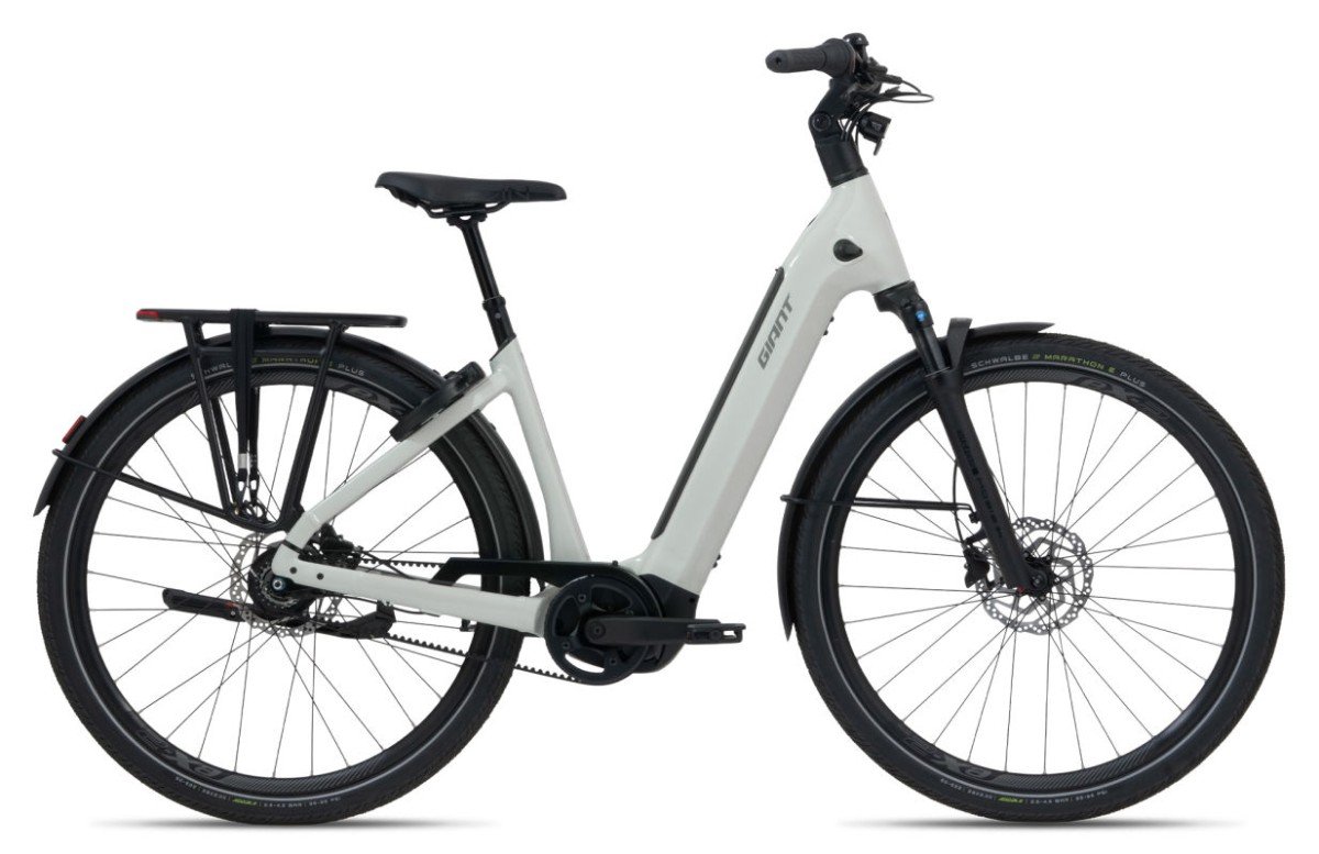 Giant AnyTour E+3 ( Ex accu van 625Wh €999.00 ) Mountain Air - Afbeelding 13