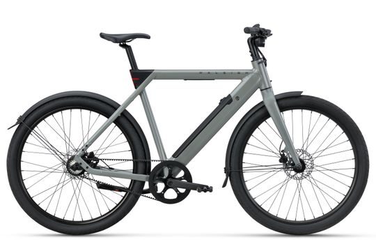 Raleigh ONE SAGE GREY Heren - Afbeelding 12