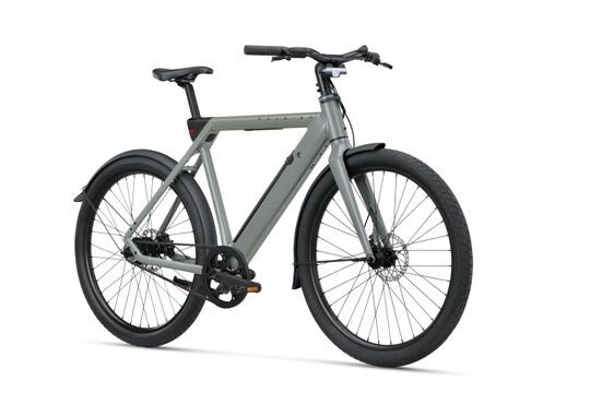 Raleigh ONE SAGE GREY Heren - Afbeelding 13